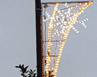 christmas light close up cobden ave 2020 200px