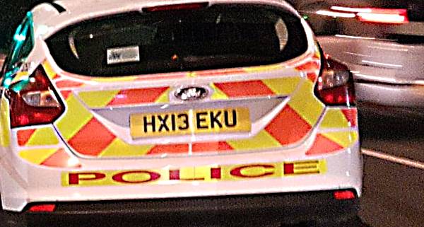 police car rear at night 600px