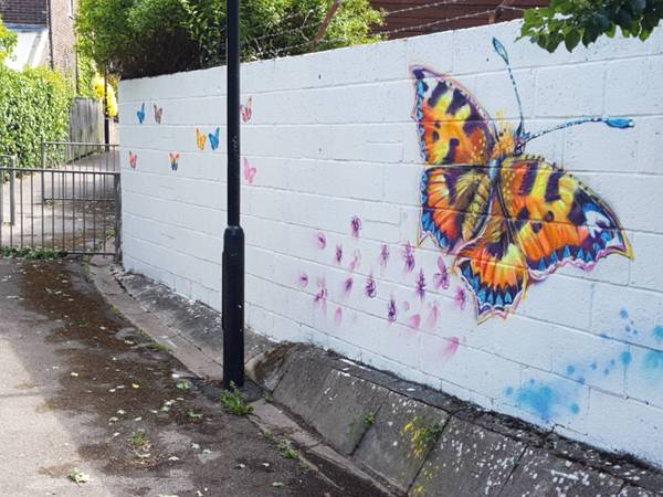 big butterfly showing athelstan road cut