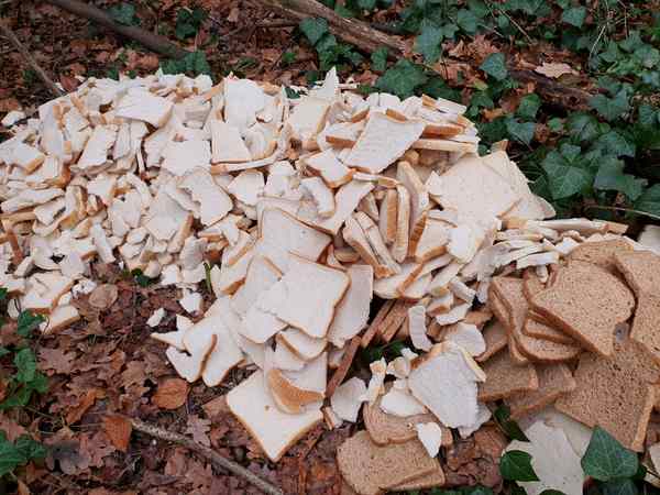 deep dene bread dump 600px 11 1 26