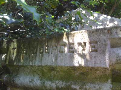 deep_dene_pillar_400px