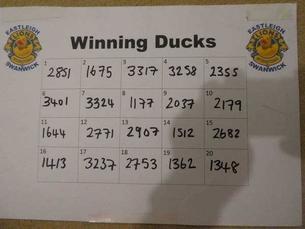 duck race 2026 winning numbers