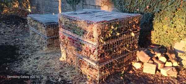 Bug homes supplied 600px