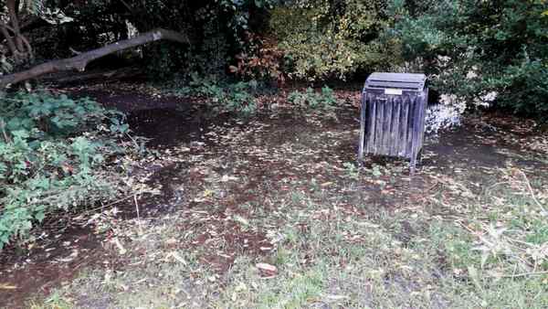 flooding glimpse 4 11 25 SJP