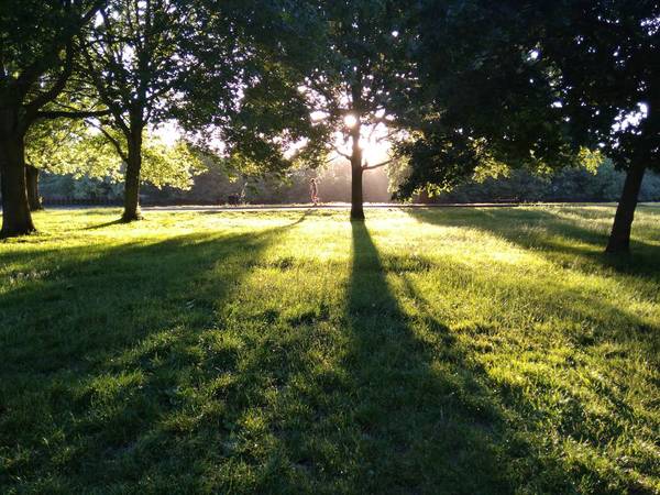 riverside park sun through trees with runner 600